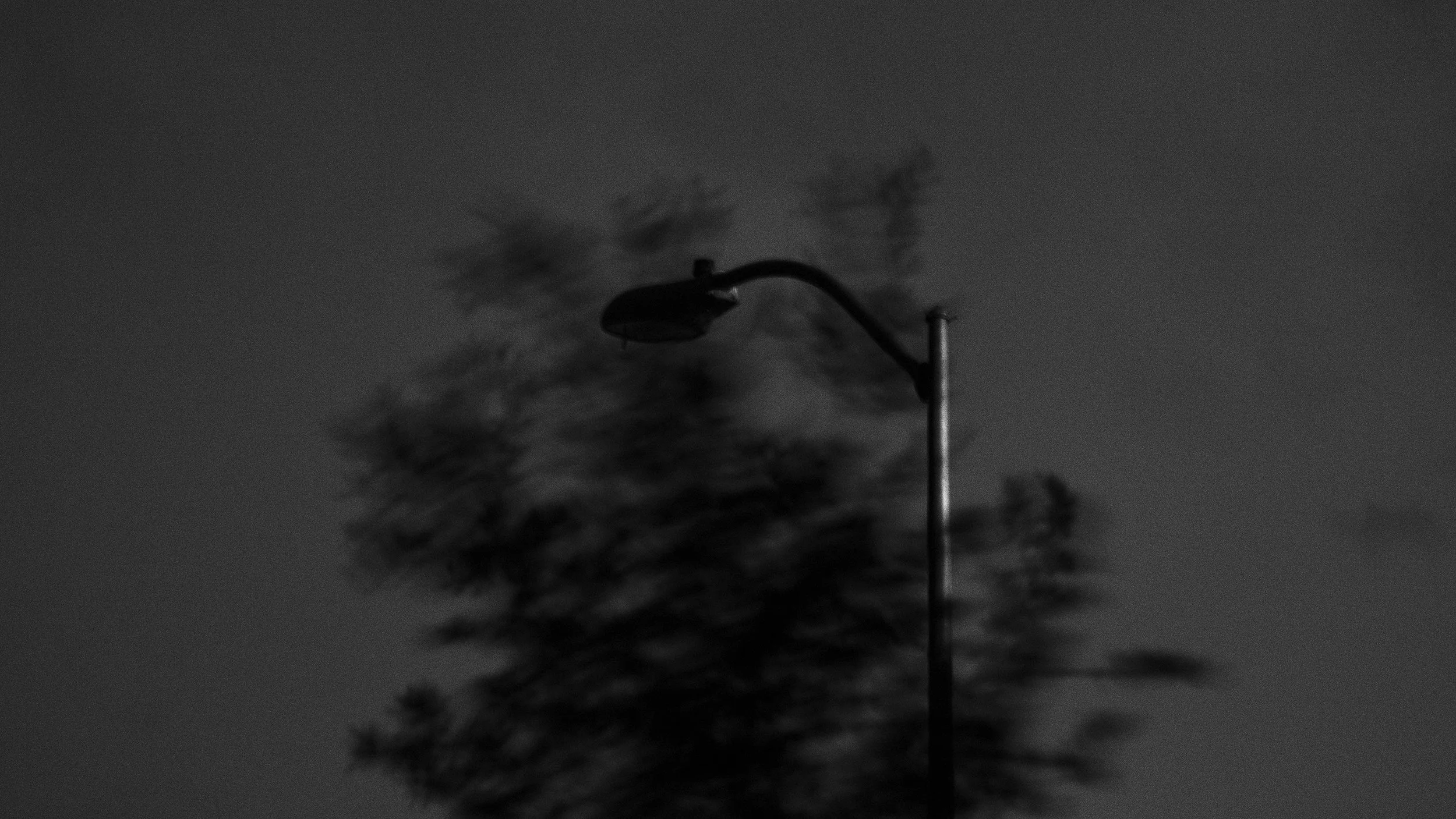 8_dddddlightpole copy.jpg