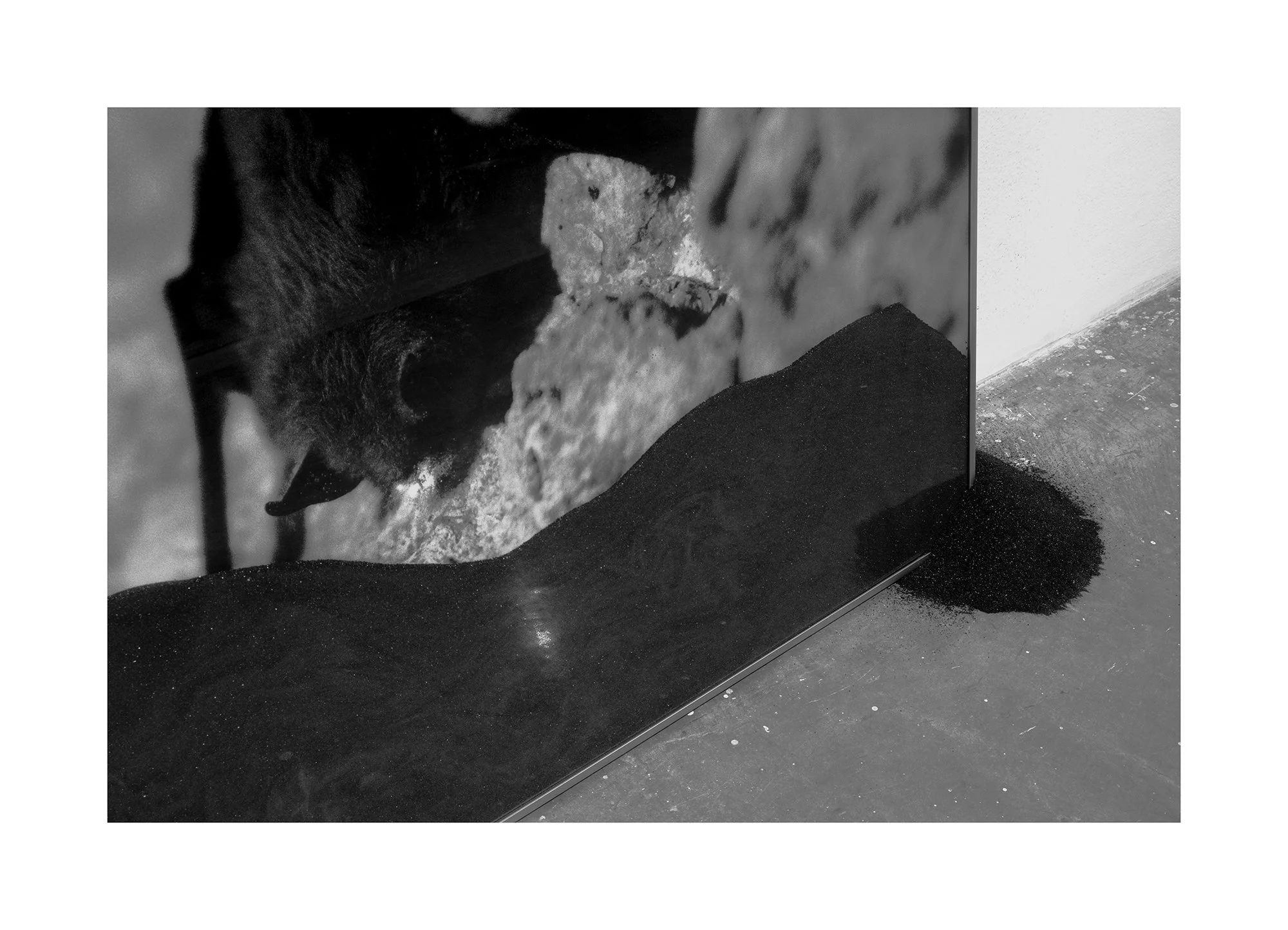 Dead Bat (Detail) weird copy.jpg