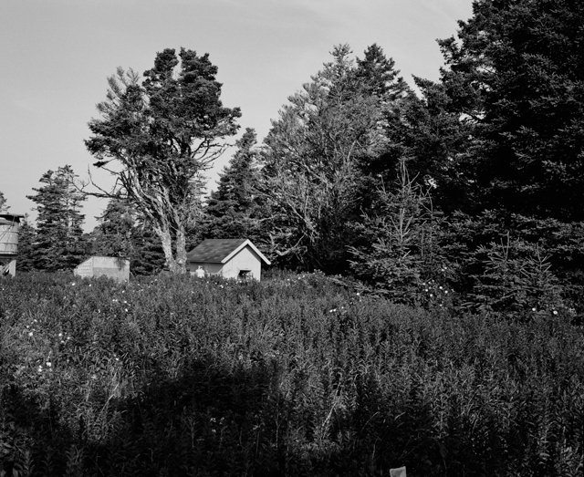 5_8 - Roll 1 Bay of Fundy July 2022 -ed RGB FlatMCKONE.jpg