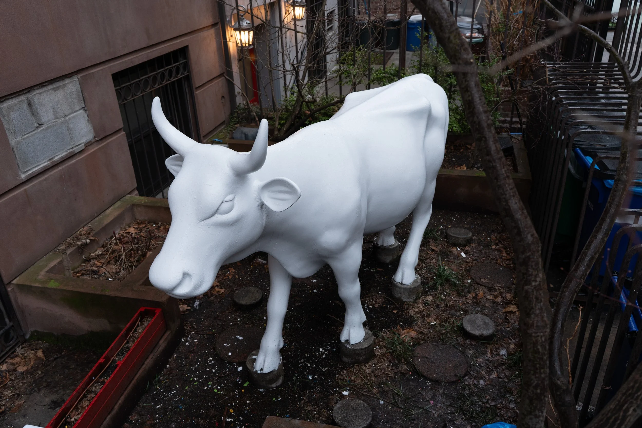 DSC09617.jpg