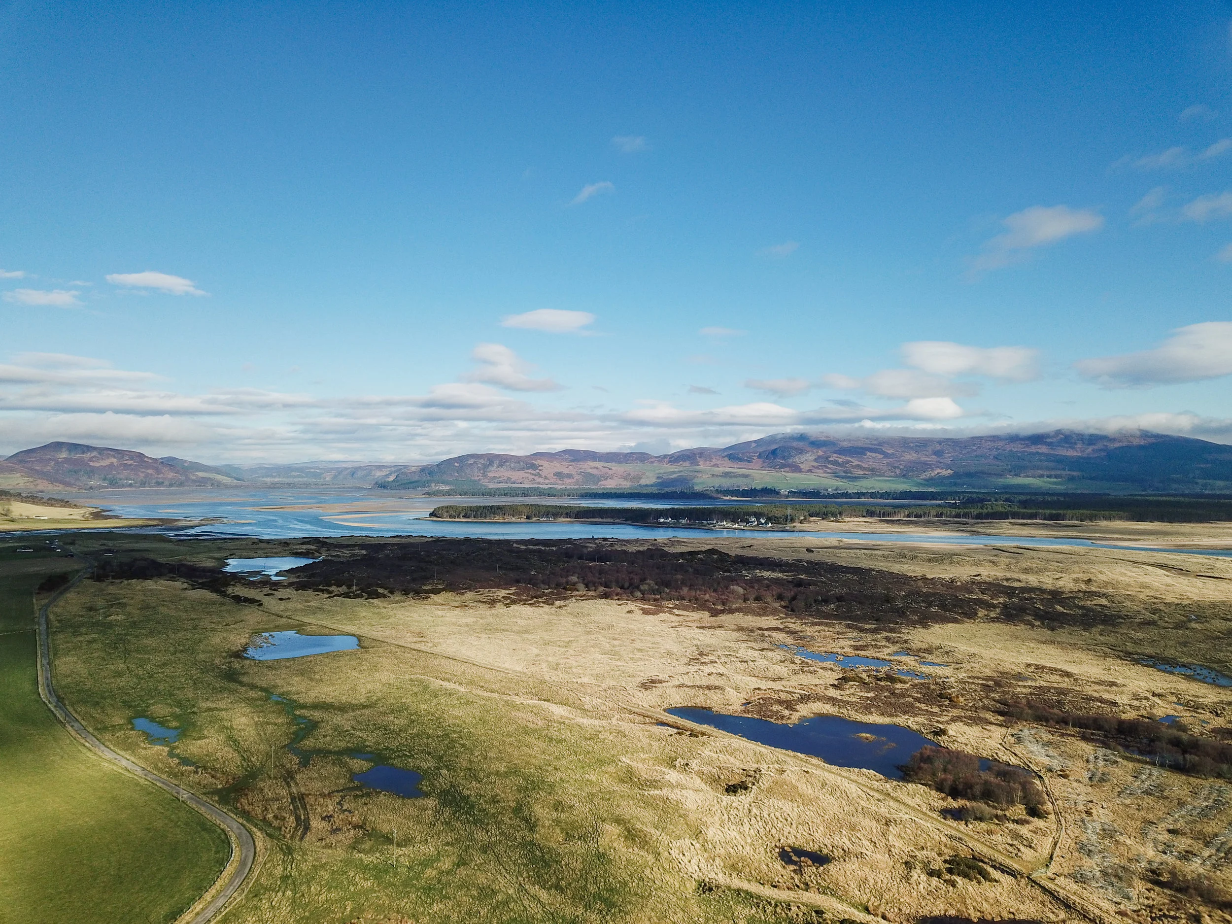 Northwest Quadrant of Coul Links looking toward Loch Fleet