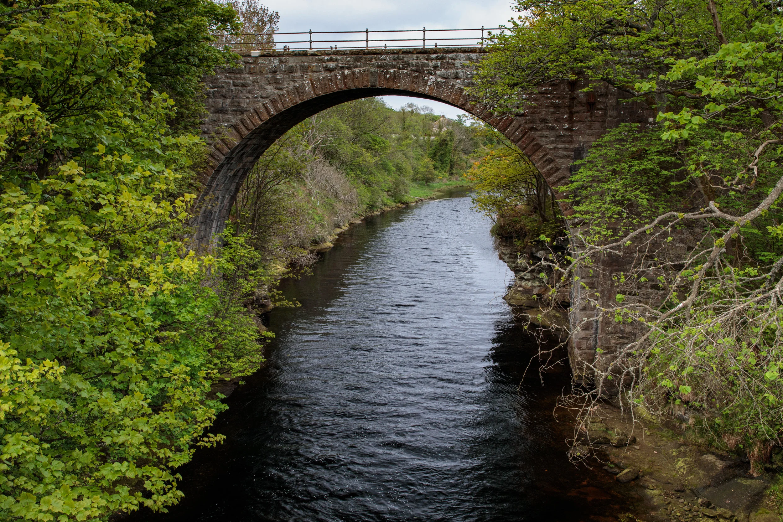 Brora Rail Bridge-5392.jpg