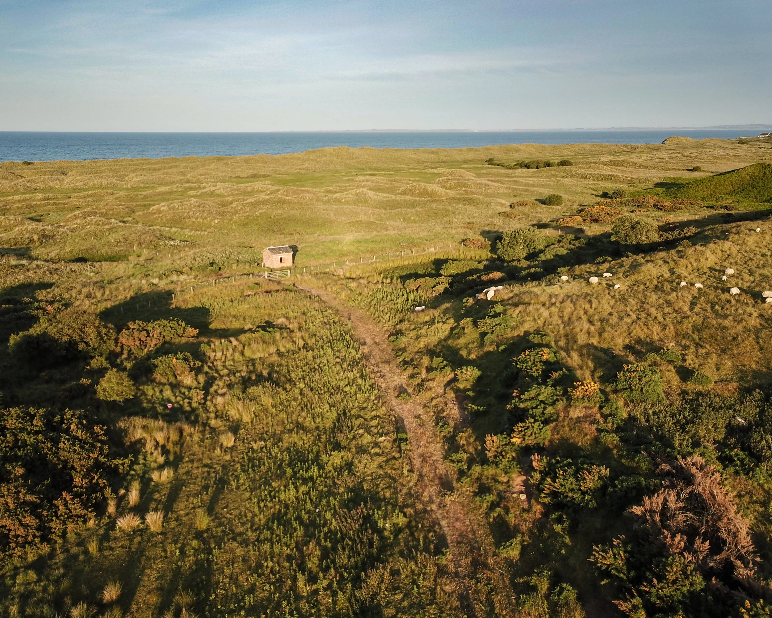 Coul Links SE from Coul Farm