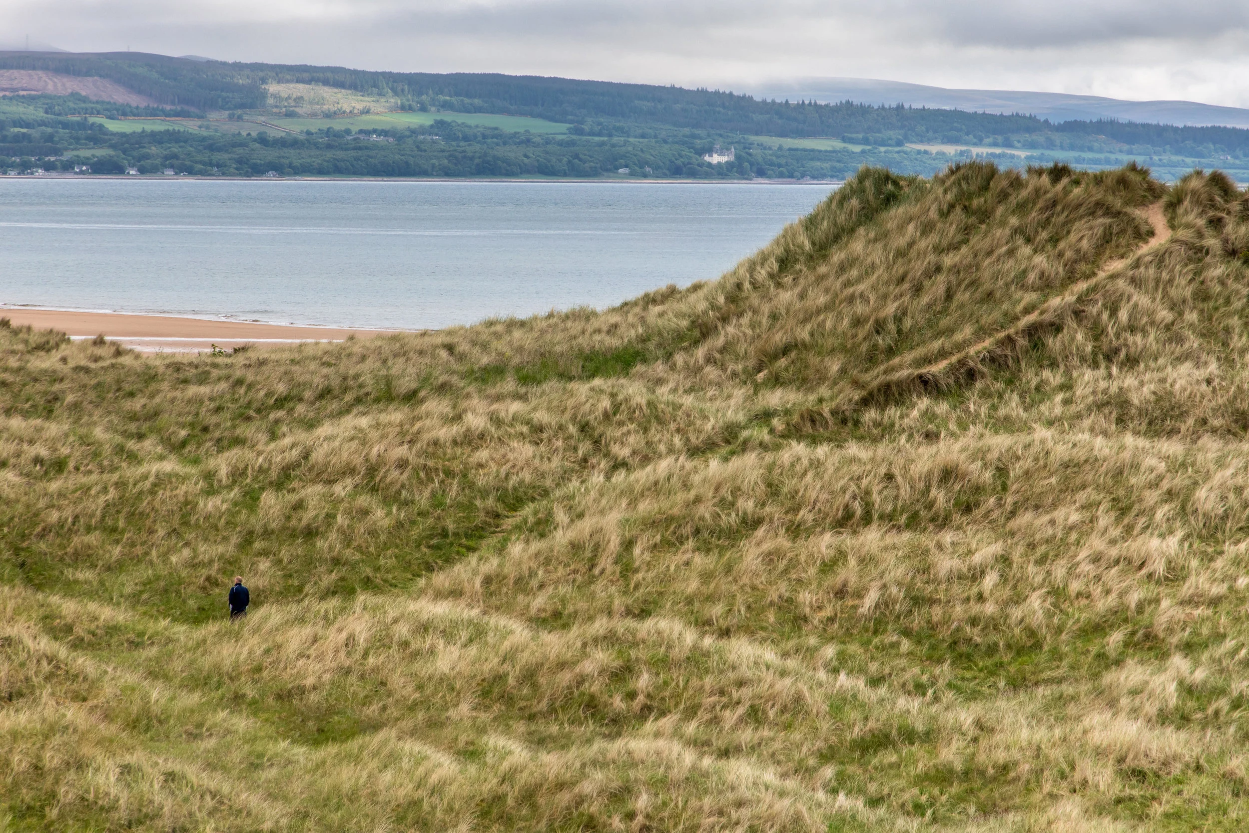 Walker Near Great Dune 4Jun18-.jpg