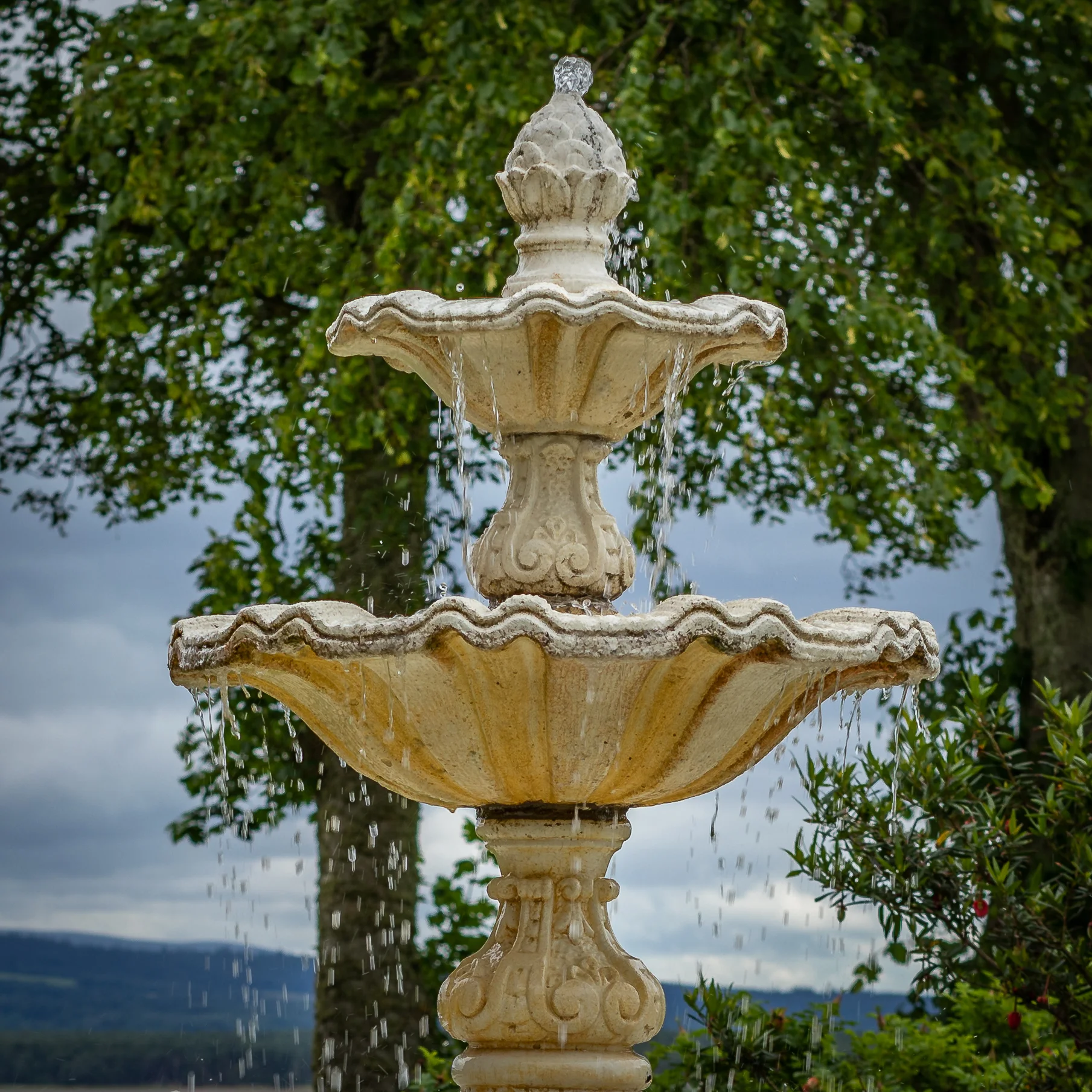 untitled-1263-2.jpg
