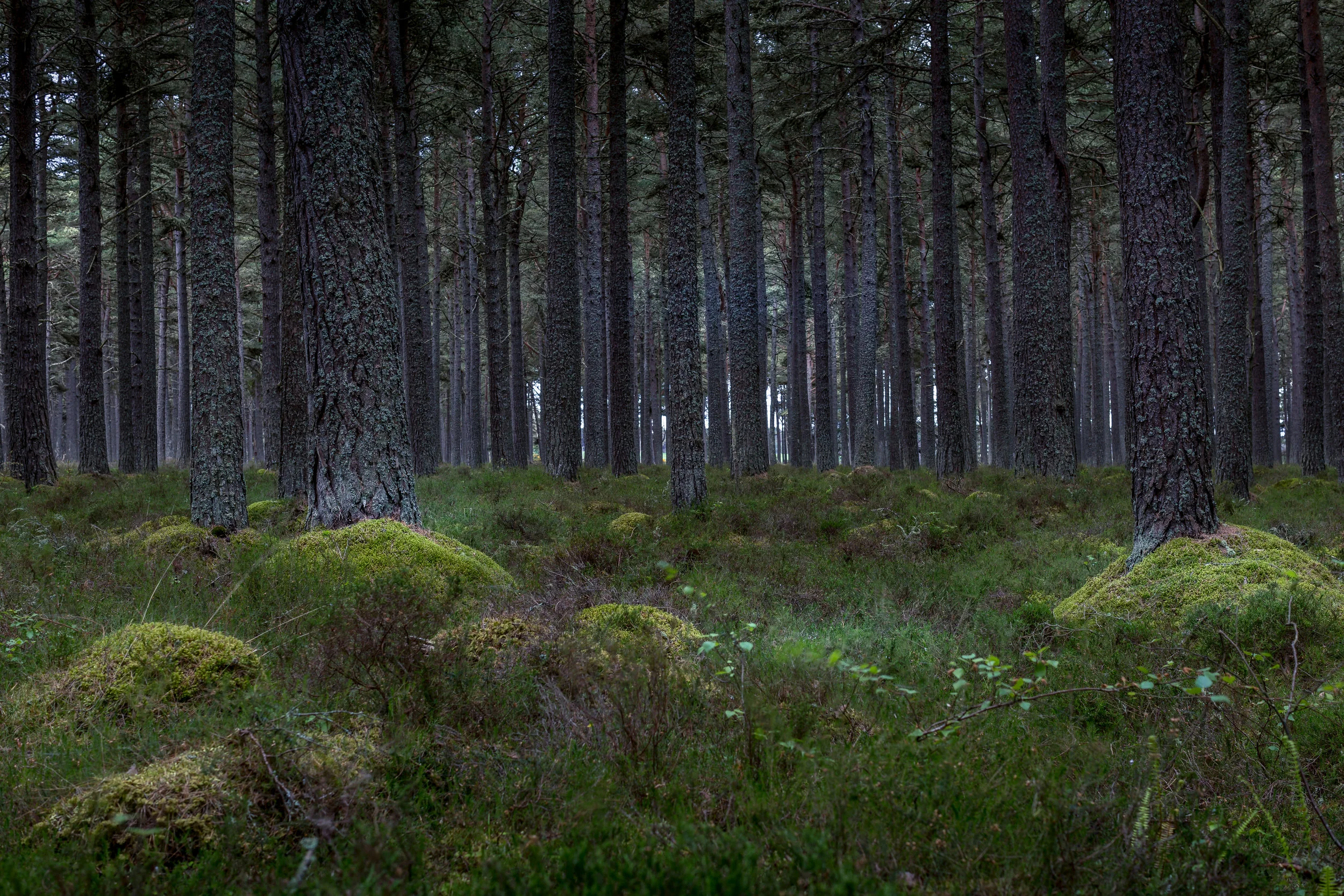 untitled-2-3.jpg