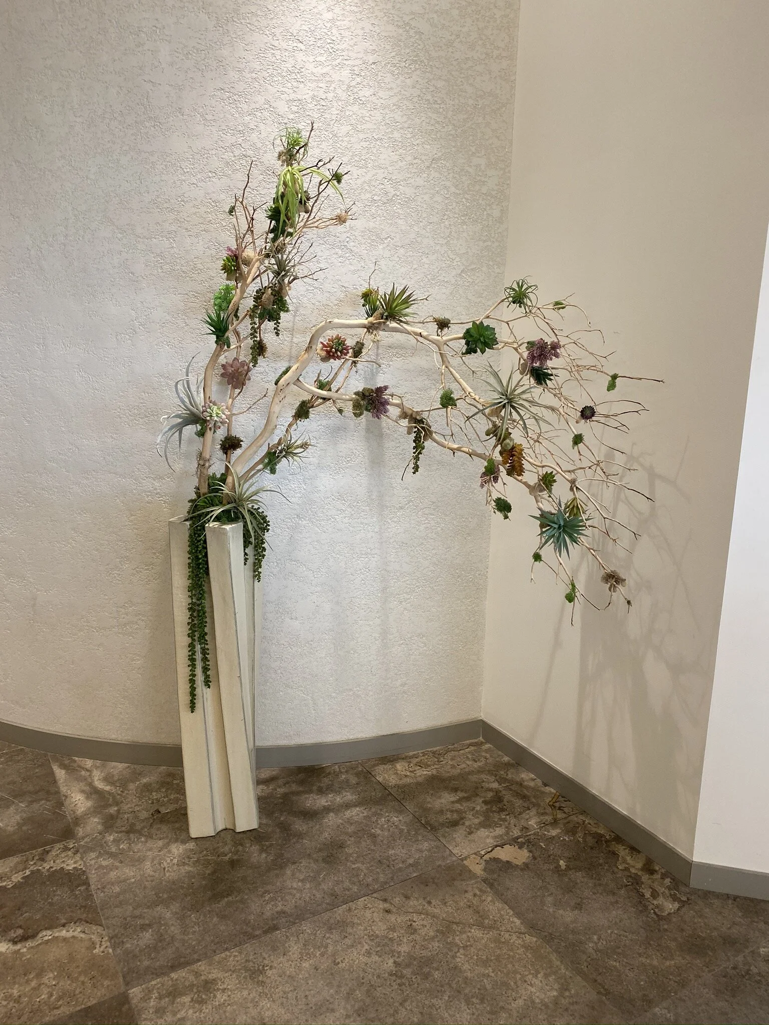 2020 Health &amp; Wellness