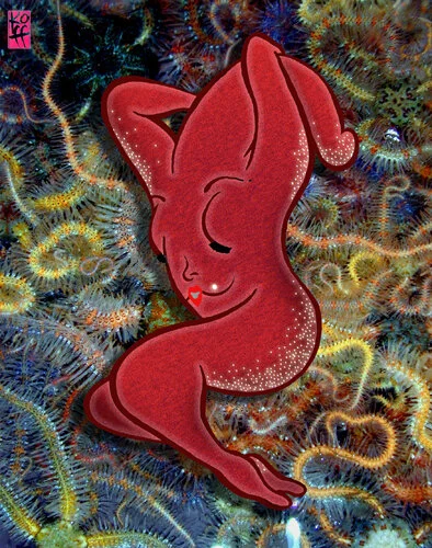 CAMANO SEASTAR.jpg