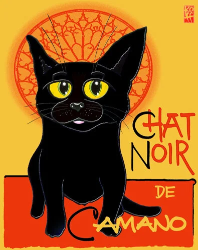 CHAT NOIR.jpg