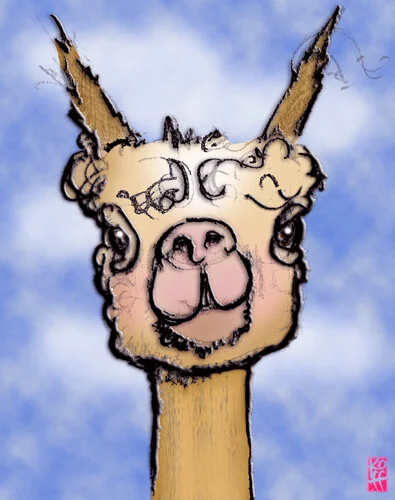 ALPACA.jpg