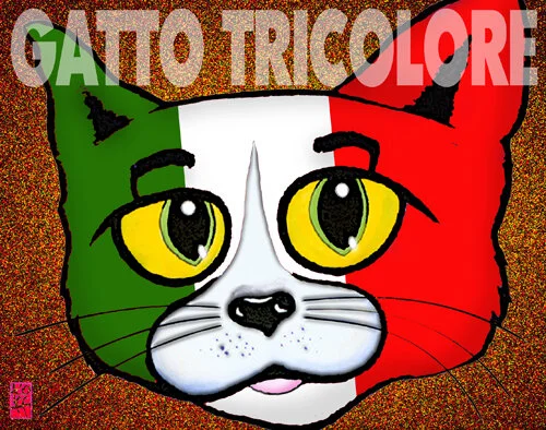GATTO TRICOLORE.jpg