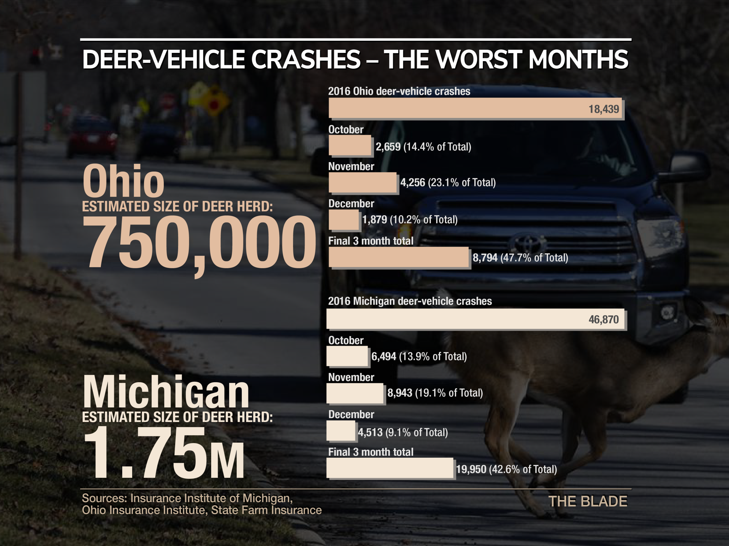 Markey Deer Crashes.png