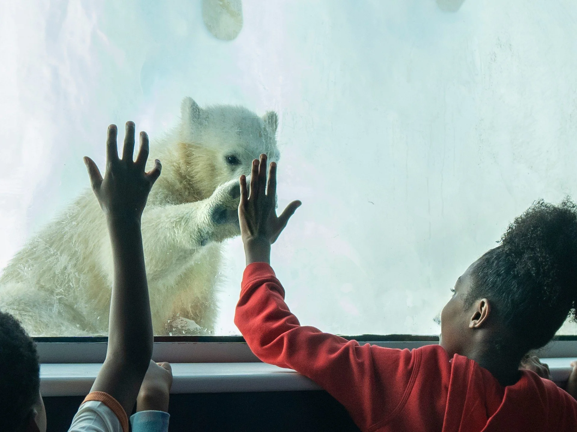 2023 :: IN YOUTH
#communitynews photography invariably involves young people — at play, at functions, taking themselves seriously, making fools of themselves, helping each other, making messes — being little humans figuring it out for th