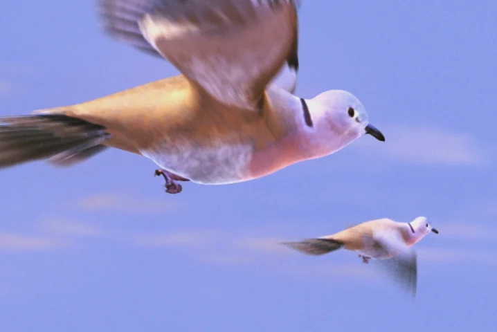 aras_flight_screen_grab_04.jpg