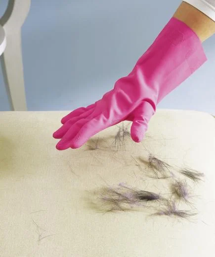 5-glove-pet-hair.jpg