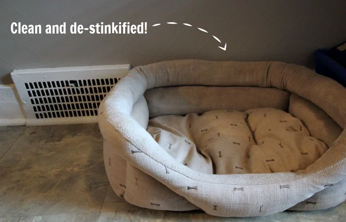 3-Clean_Pet_Bed.jpg