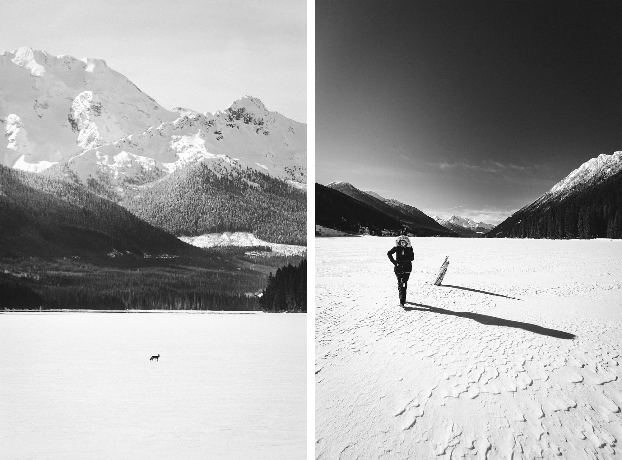 1st story - Grid 3.jpg