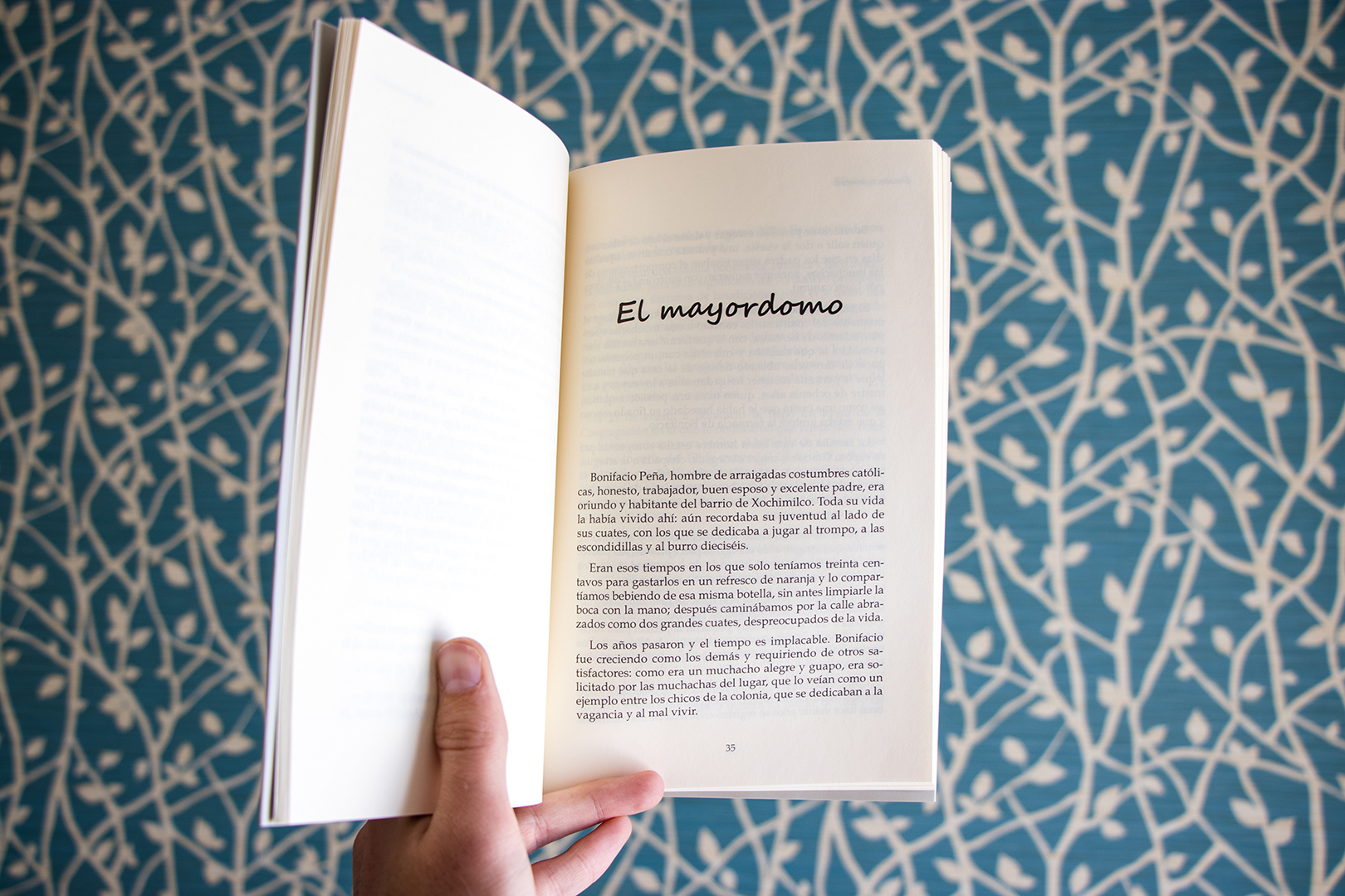 _Puros Cuentos_ - Mauricio Cerdá Viaud-2.jpg