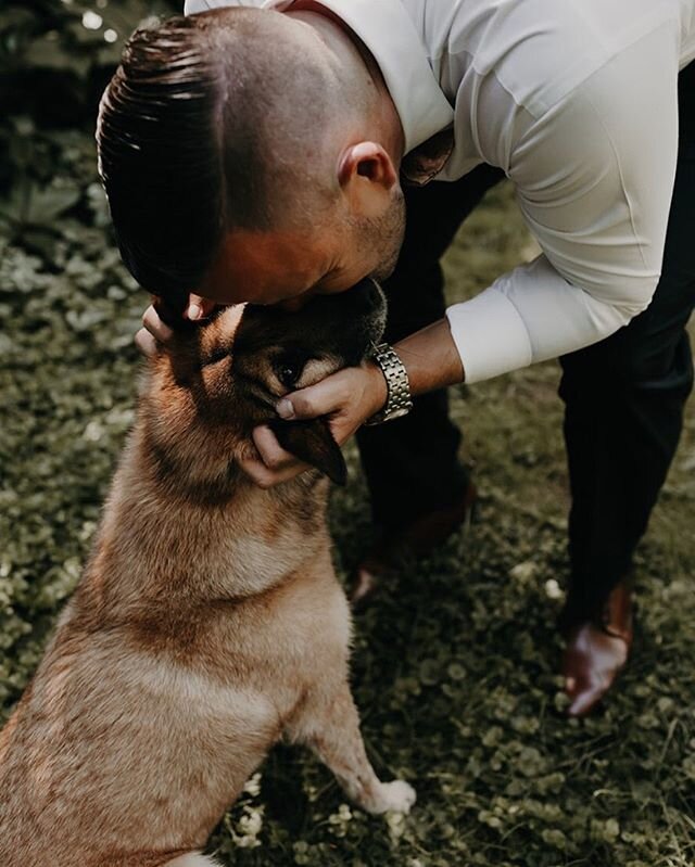 When your doggo is your best man 🐶/ Jacqlyn &amp; Chris / 27.08.19 / 📷: @aliciastrathearnphotos