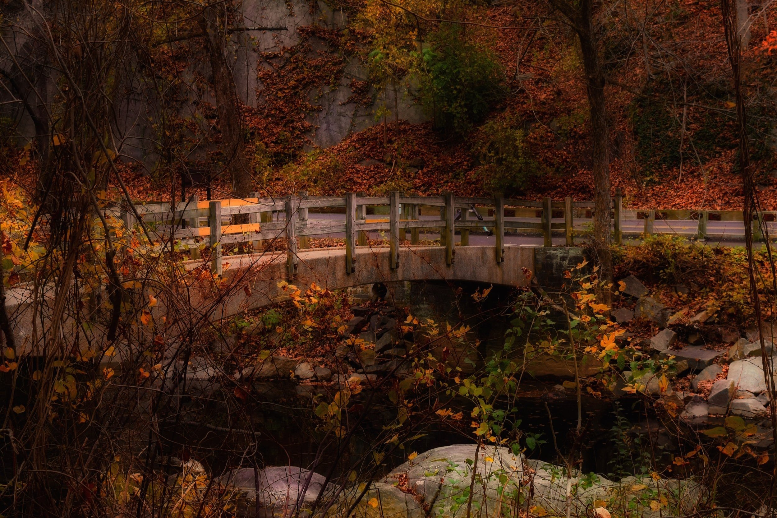 Autumn Adventure Unveiled: Exploring Rock Creek Park in Washington, DC