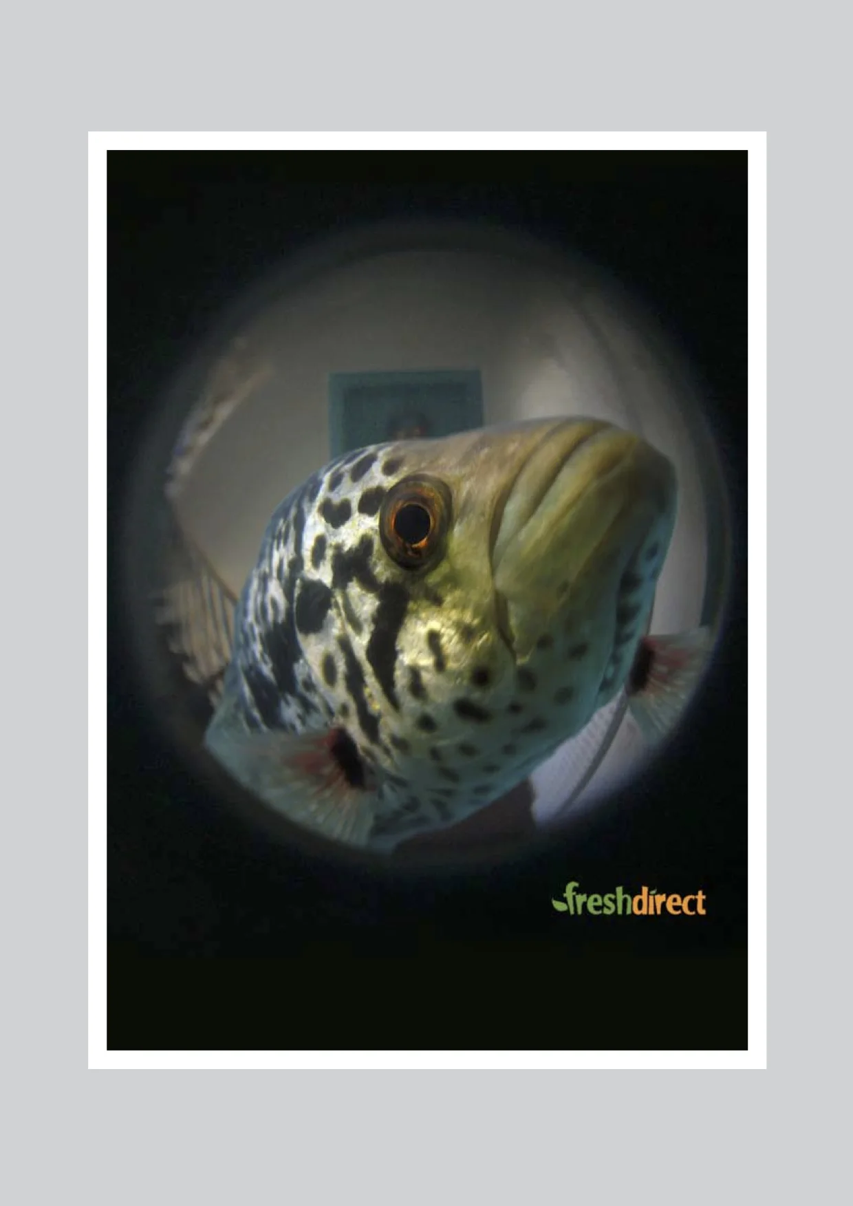 freshdirect2.jpg