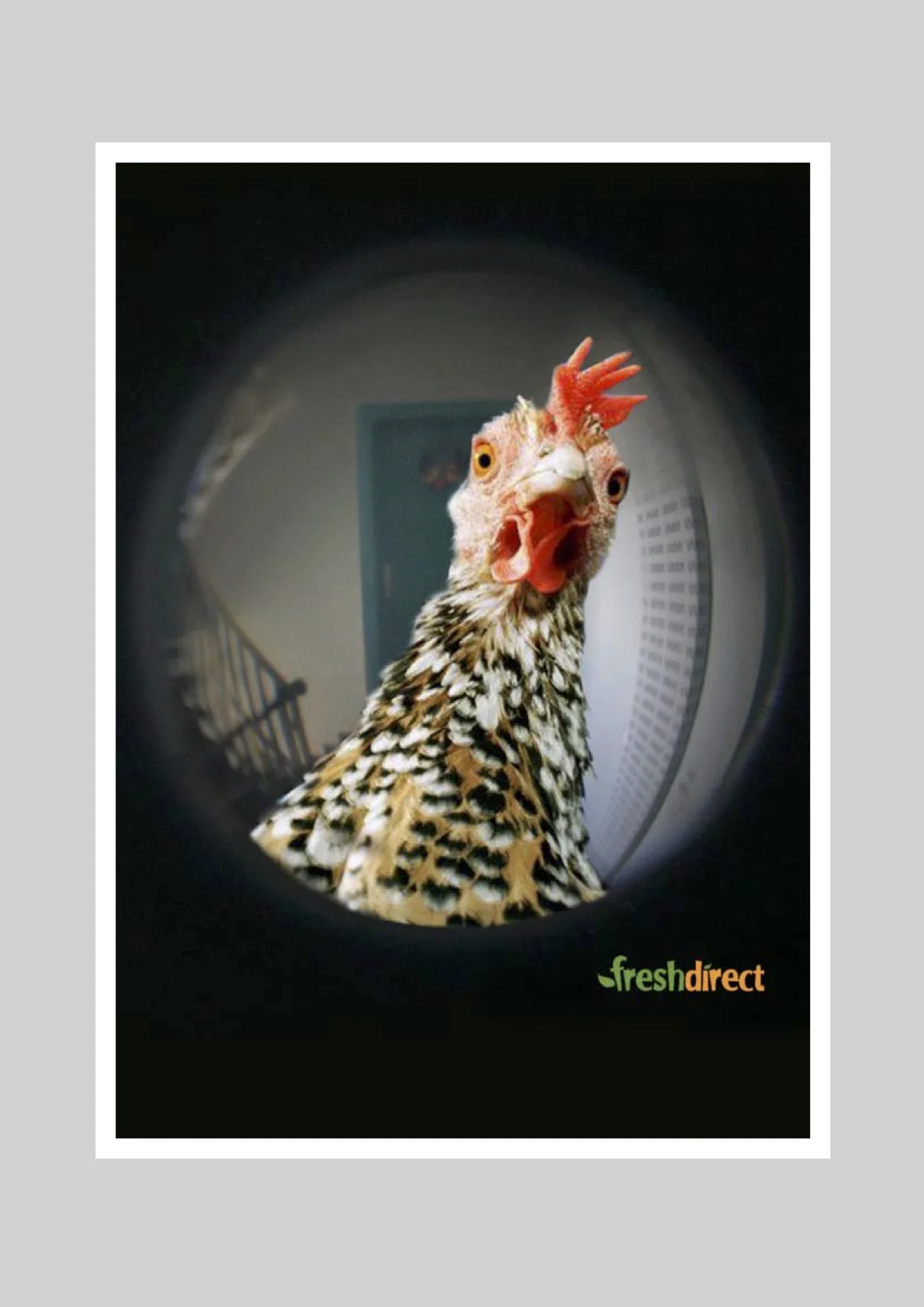 freshdirect3.jpg