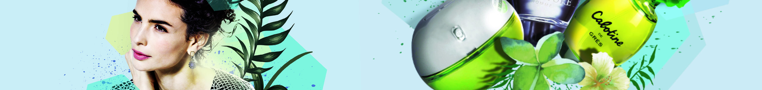 suzanne header .jpg