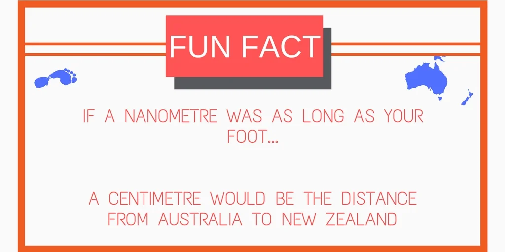 FUN FACT.jpg