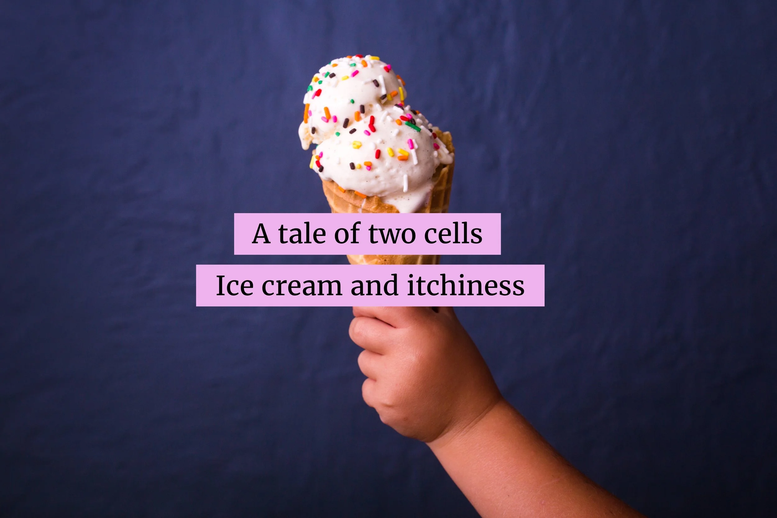 icecream.jpg