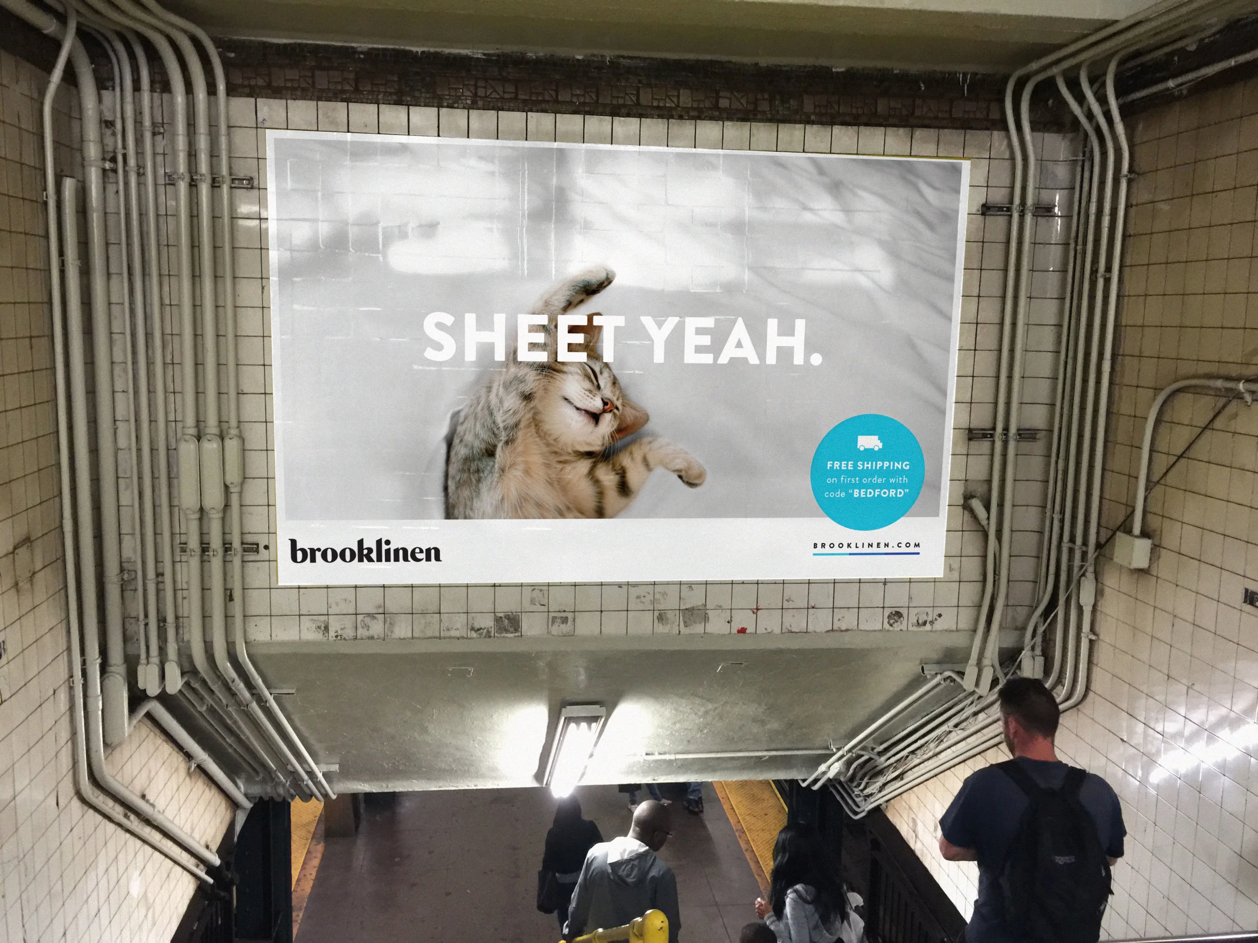 brooklinen_cat.jpg