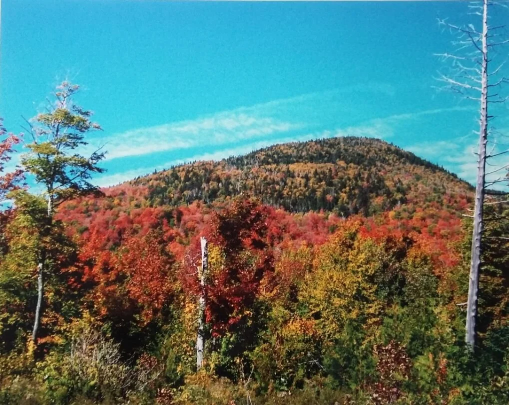 20200107_142303 (2).jpg