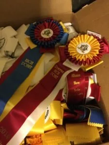 All Thoroughbred Benefit Horse Show- Sunday May 18, 2025