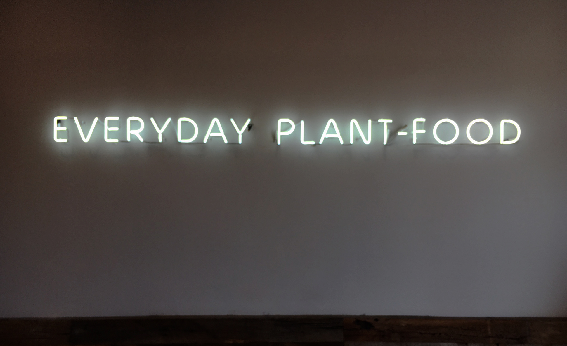 Everyday Plant Food