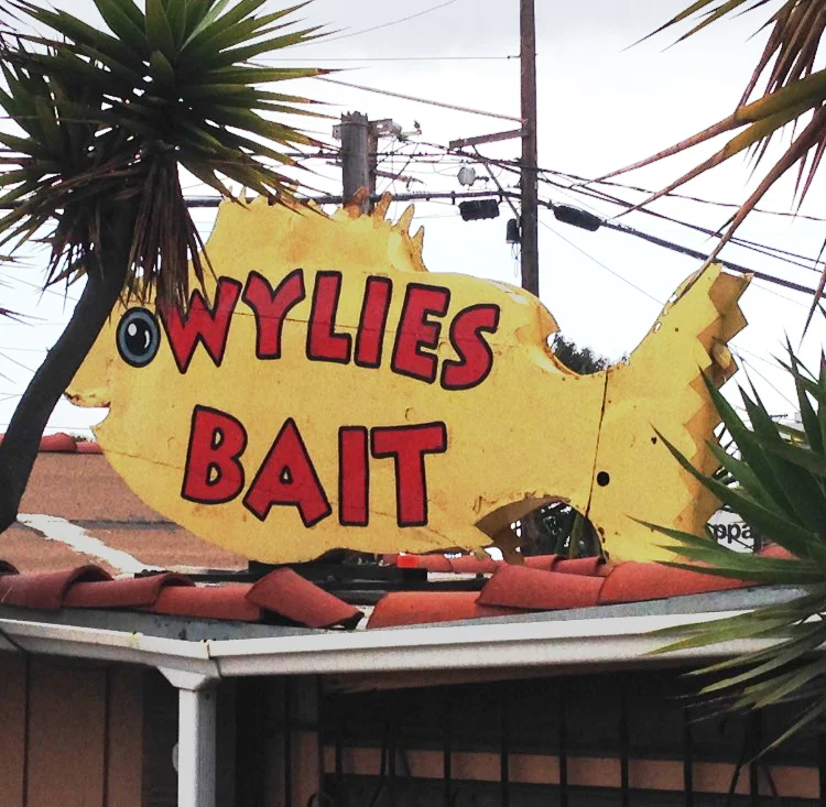 Wylies Bait