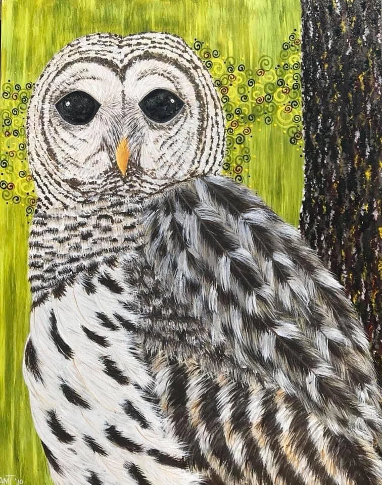 trelford-owl.jpg