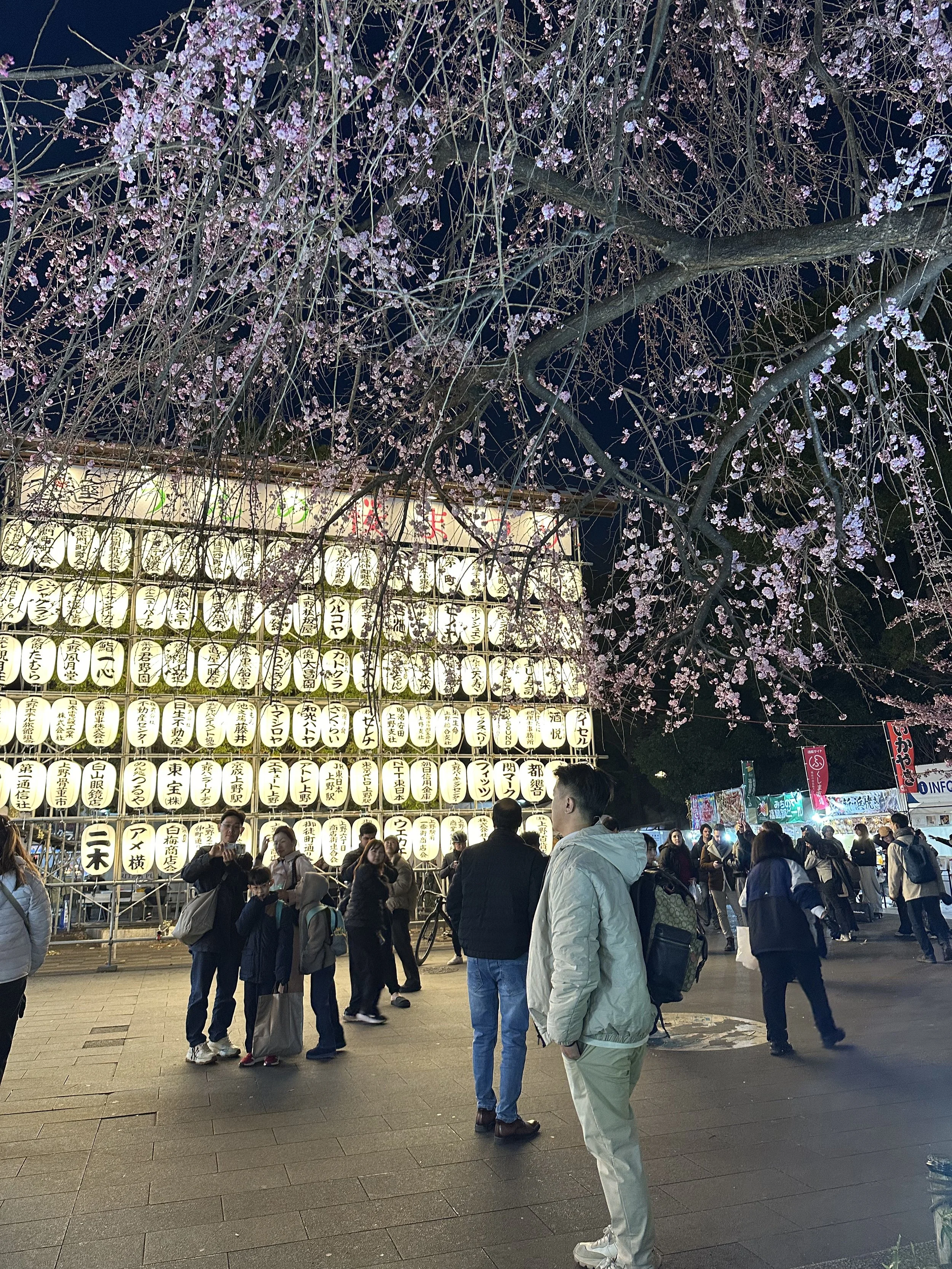  First evening…stumbled into a celebration of spring complete with cherry blossoms, lanterns, and street food in Ueno Park. 