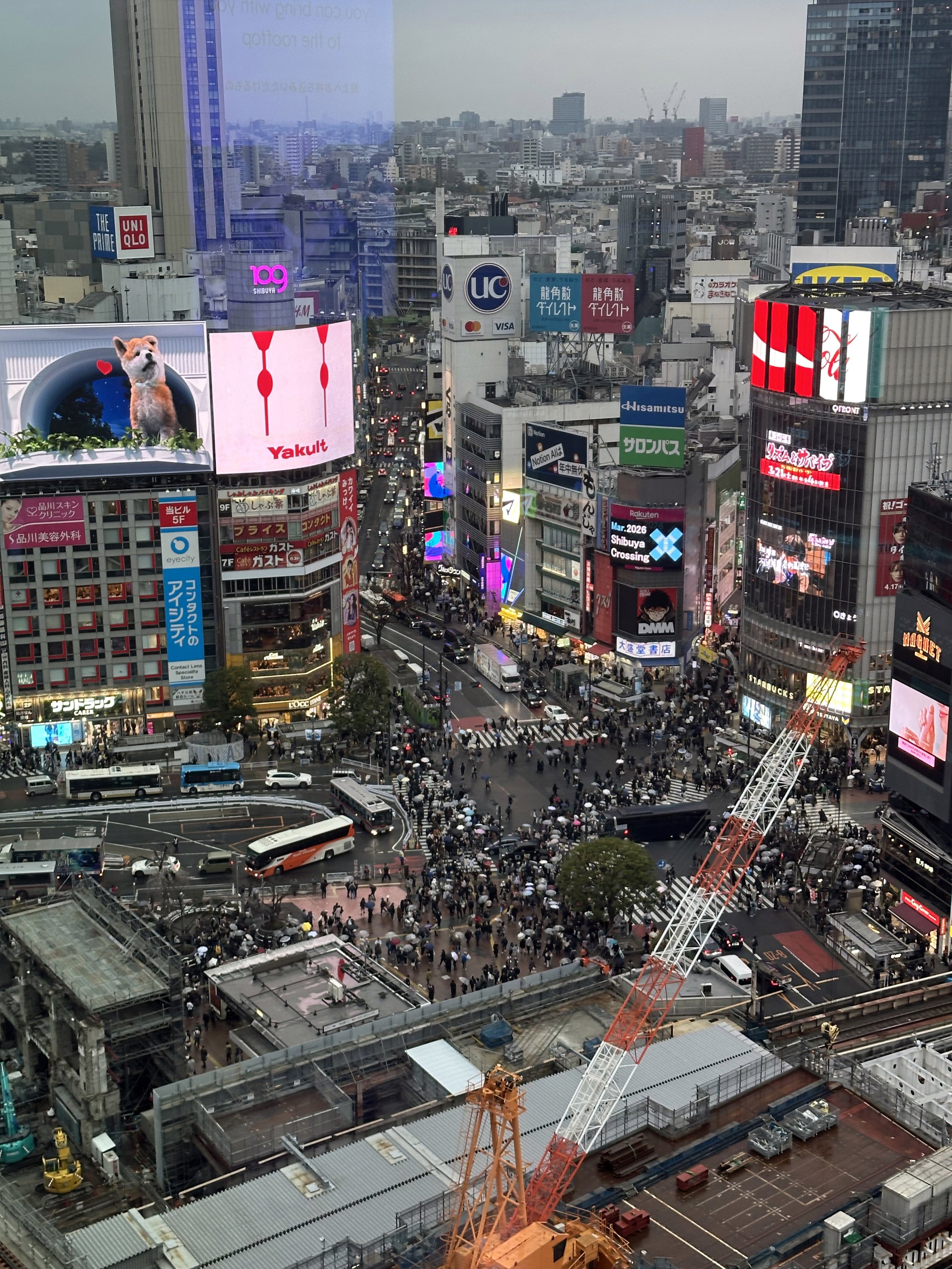  The legendary Shibuya Scramble as seen from the 45th floor of  the Shibuya Sky building. At least 250,000 people use this crossing every day, with higher estimates of up to 500,000 pedestrians on the busiest days. 