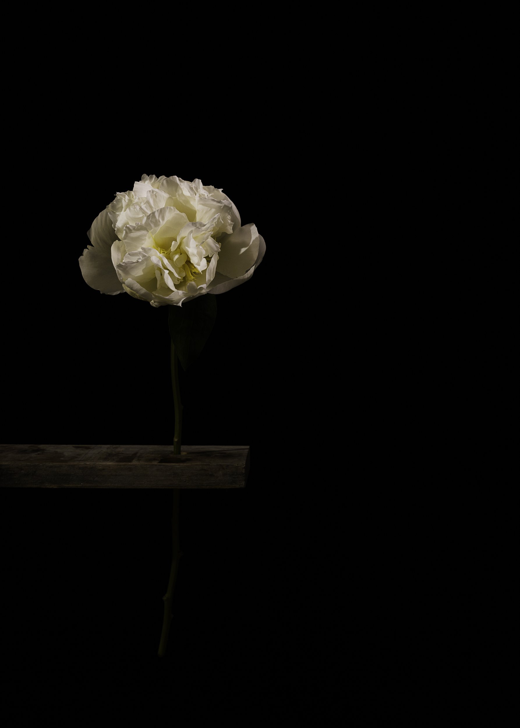 This is for you—