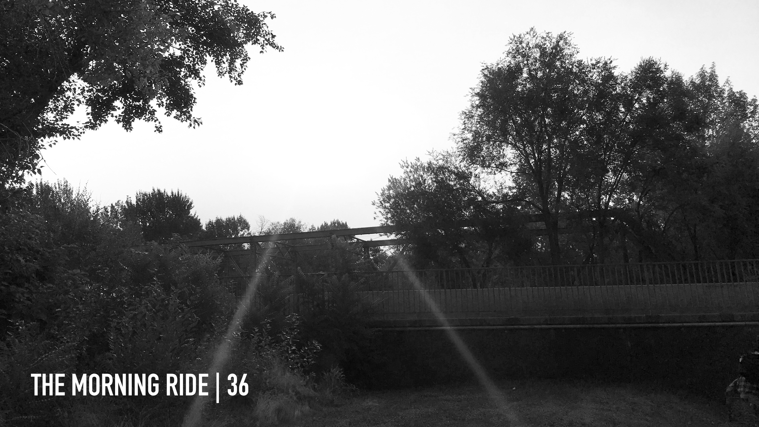 36. First Day of School or Bicycle Commuting