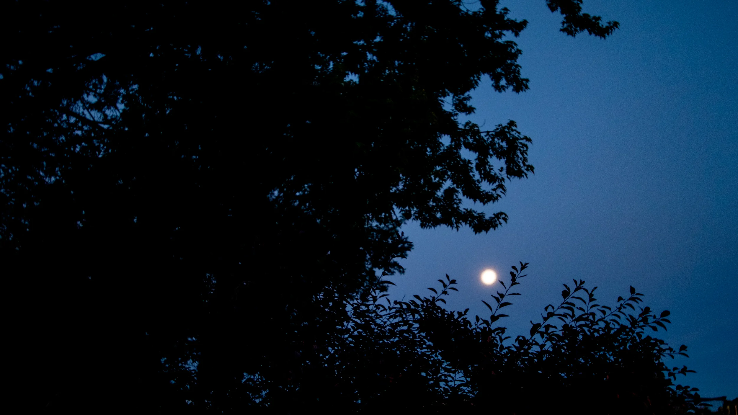 20190618-moon-8331.jpg