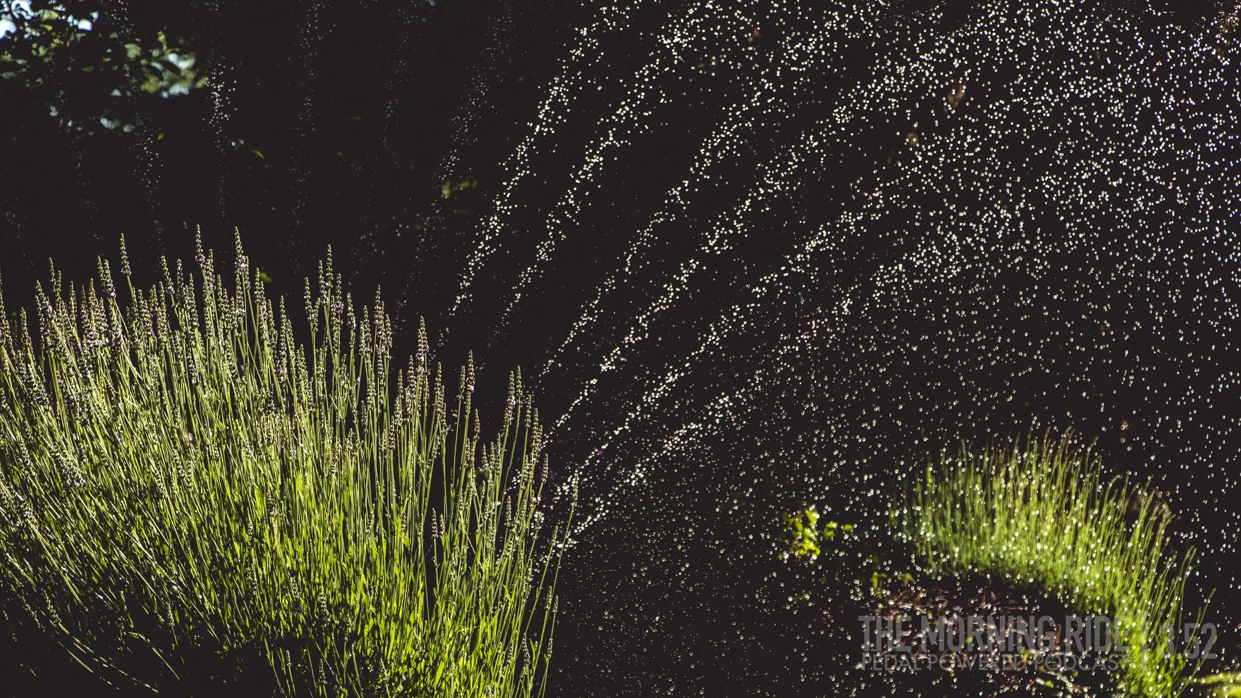 20190620-TMR.jpg