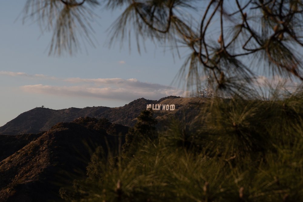 Hollywood on a Hill, Los Angeles, January 2024