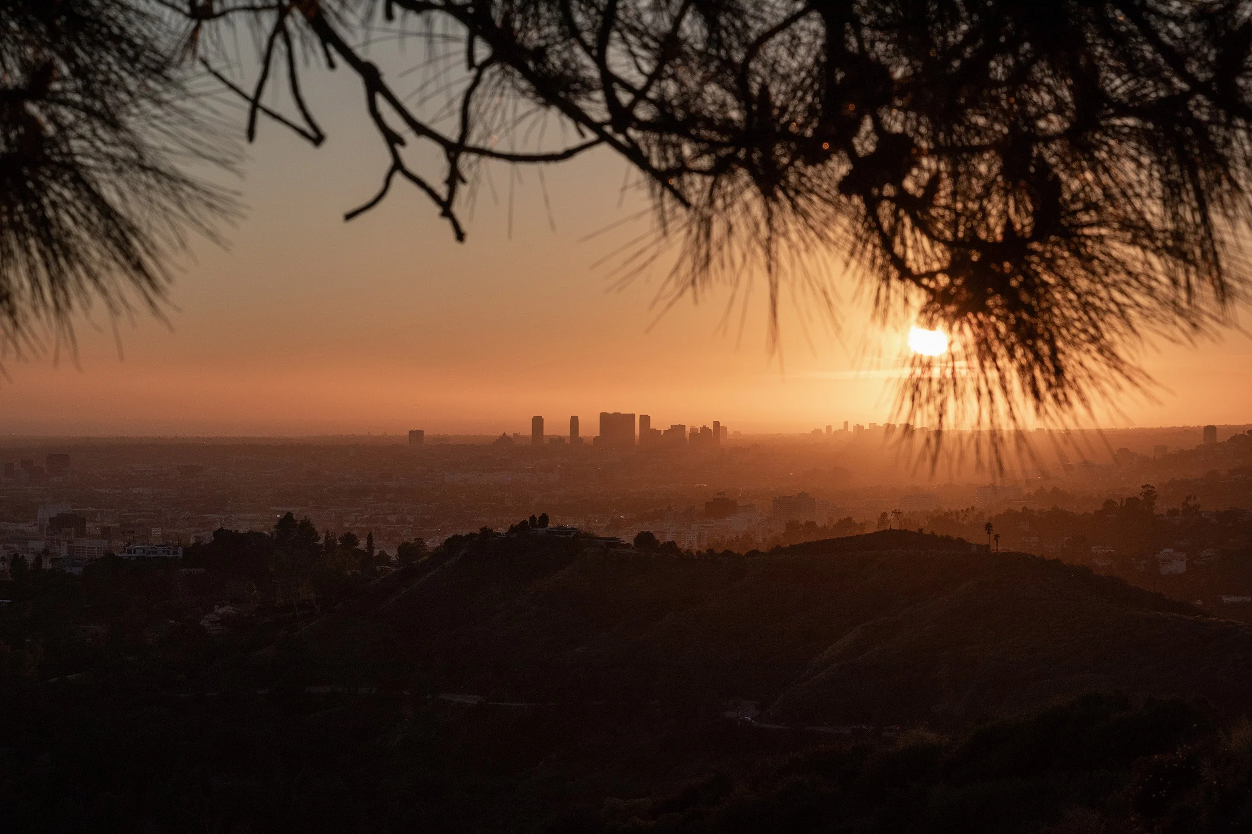 Los Angeles Sunset. January 2024.