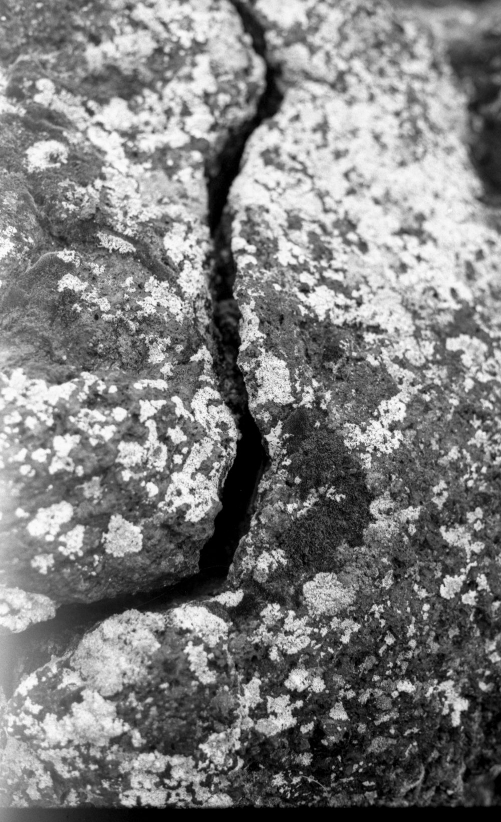 Fissure and Moss. Roll 1, Frame 16, F2.8, 1/500. January 25, 2024.