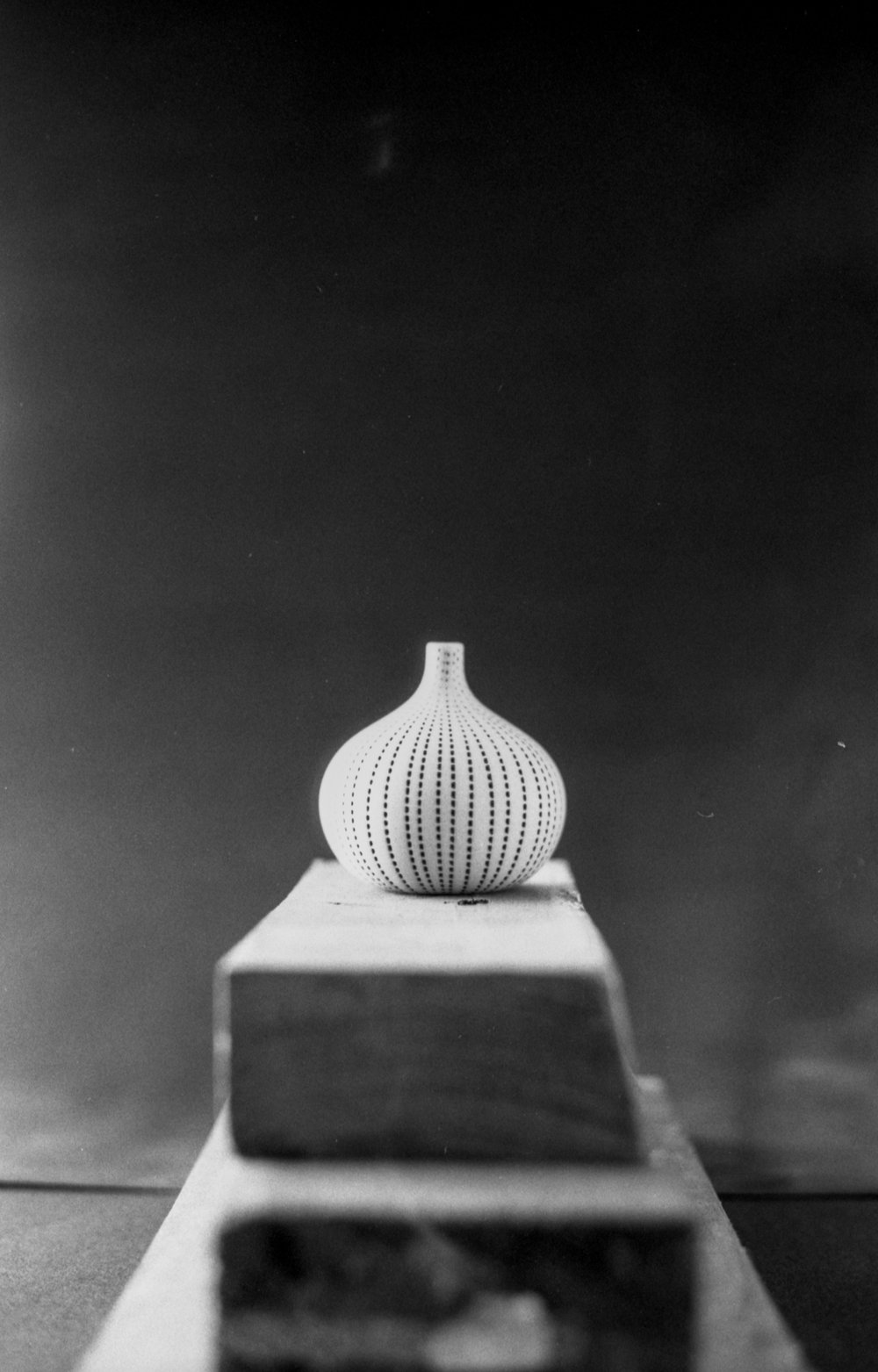Turkish Flower Vase. Roll 1, Frame 35, F2.8, 1/60. February 4, 2024.