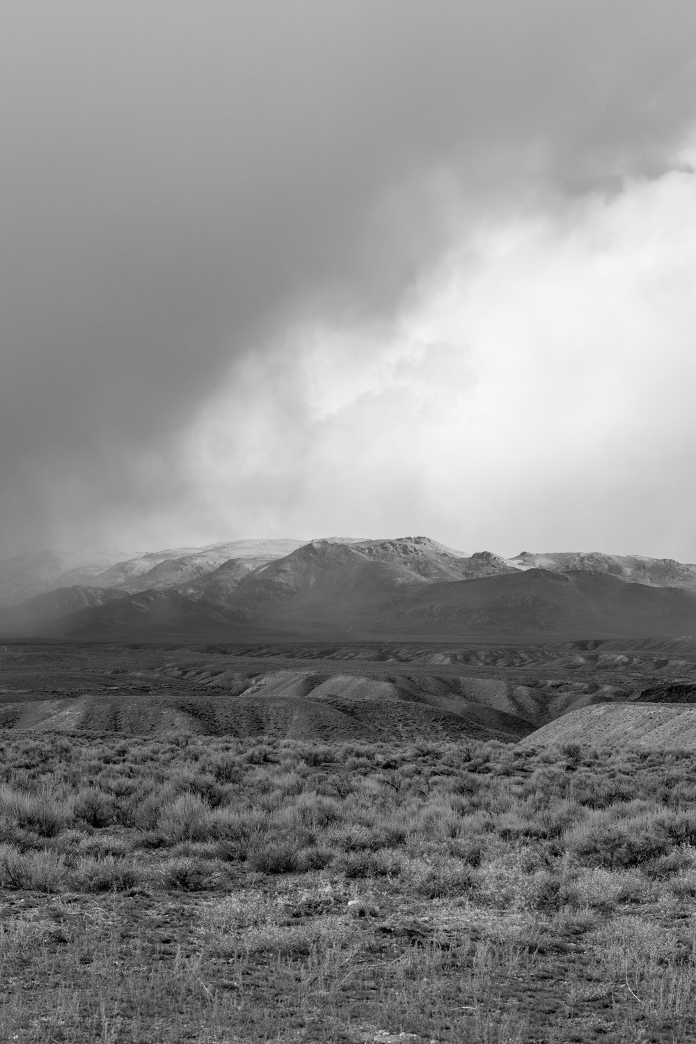 Owyhee Mountains, Idaho. March 2, 2024.
