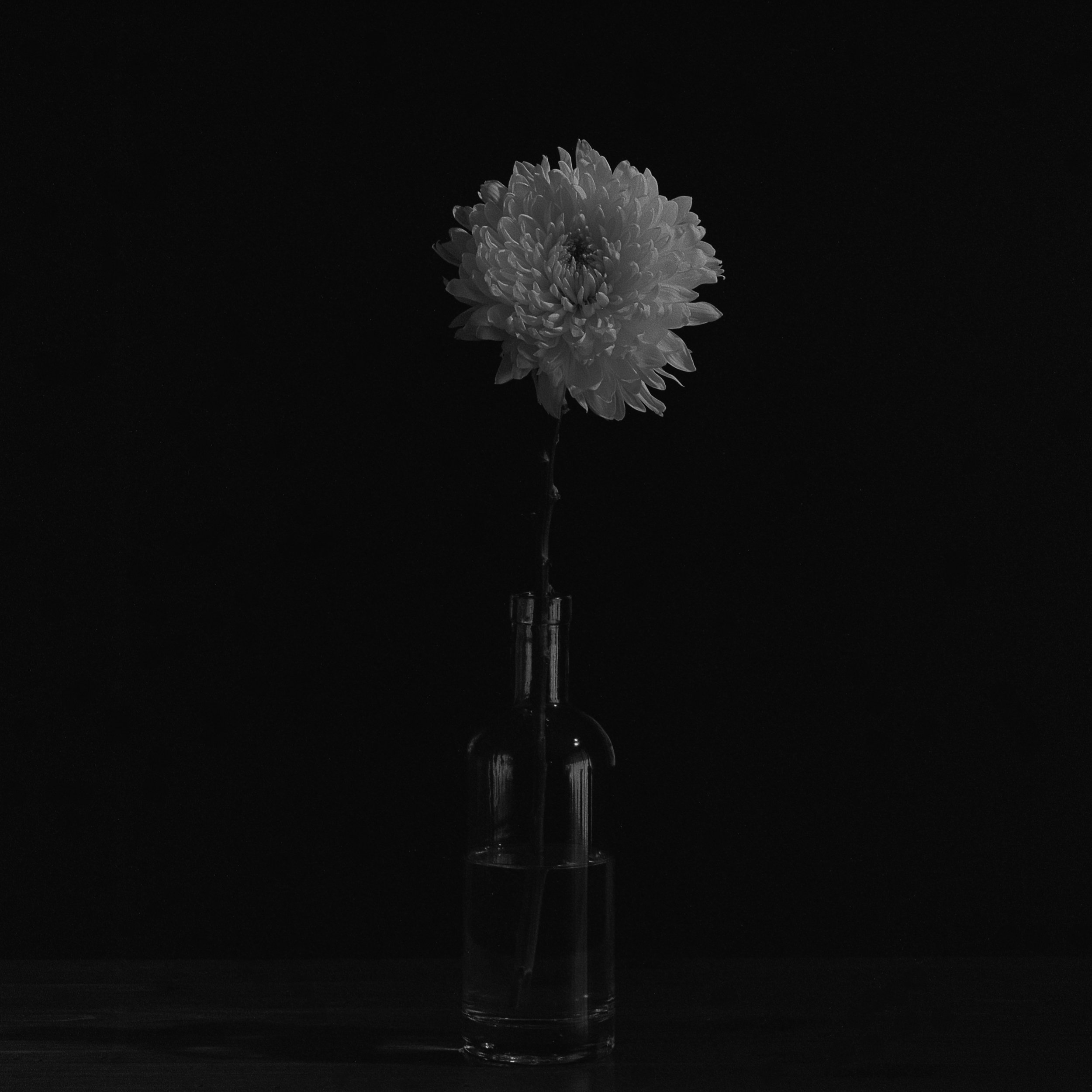 Featured Artist at Lenses &amp; Brushes in Boise April 2026