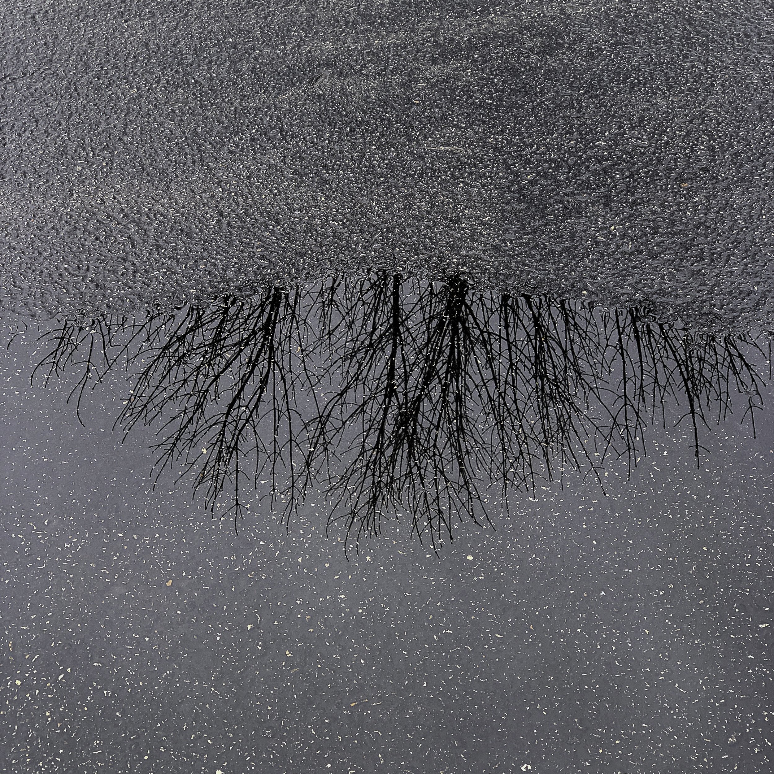 "Every one that sleeps is beautiful."