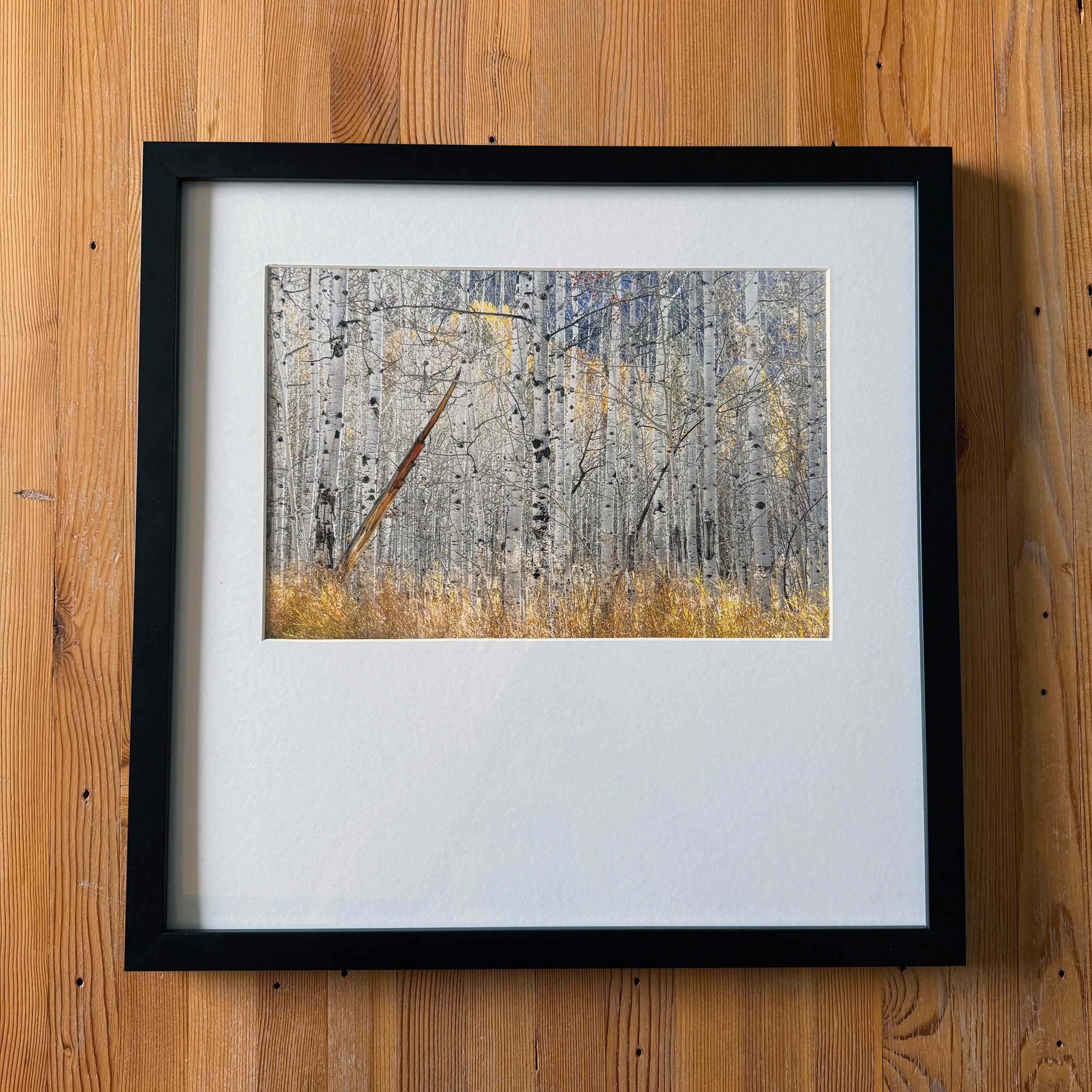 Framed photograph of birch and aspen trees in the fall along a river in Central Idaho