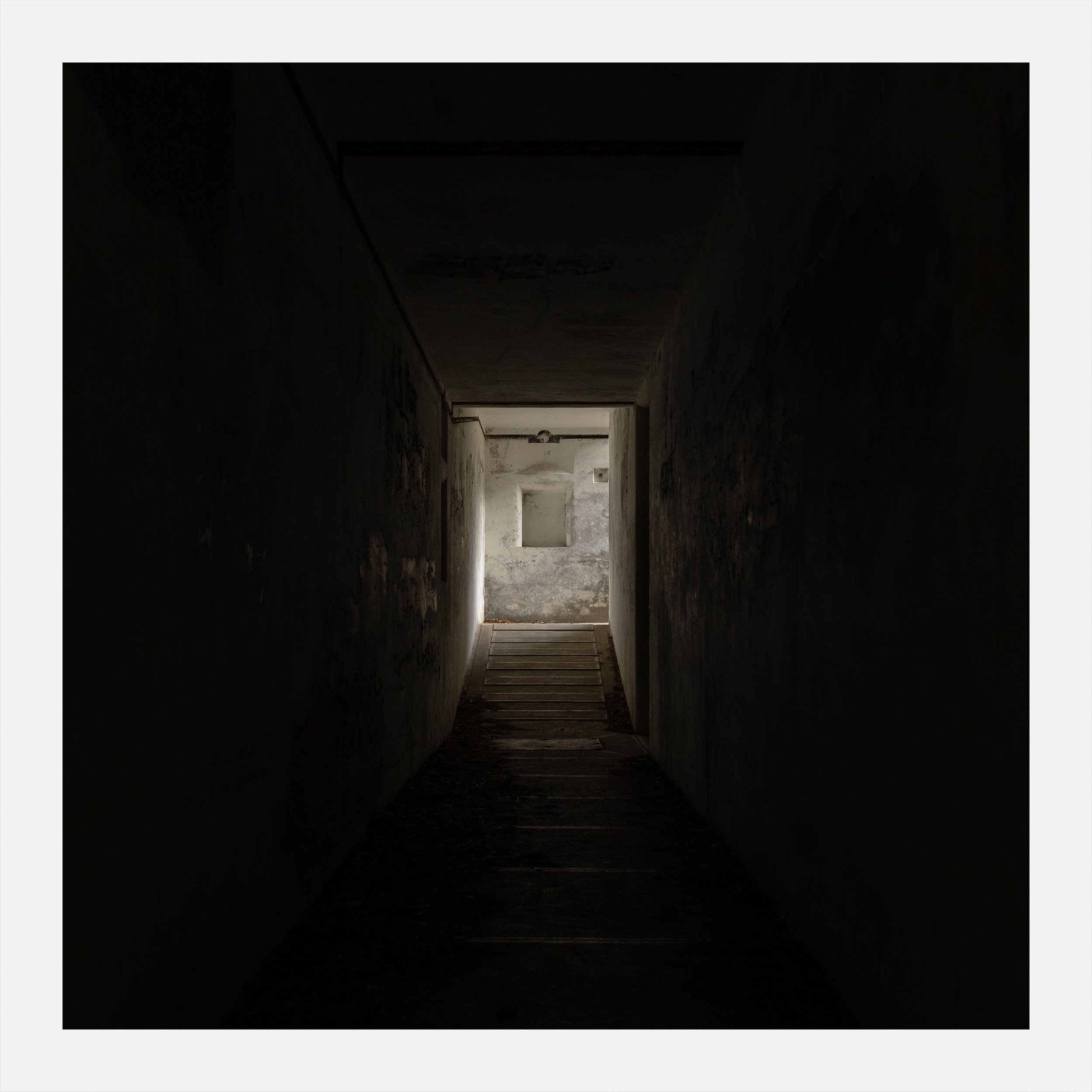 It only takes a little light to see that this is not the end—